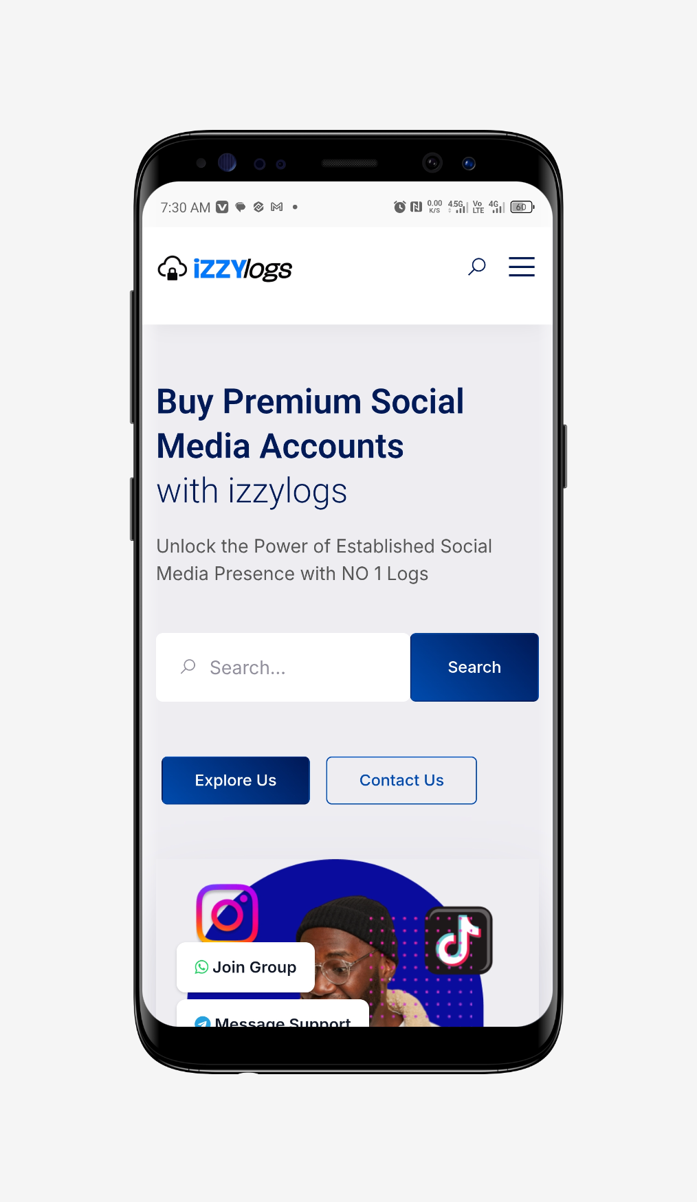 Account Logs Website preview